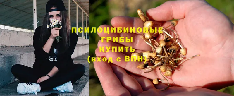 Галлюциногенные грибы MAGIC MUSHROOMS  купить наркотик  Заречный 